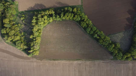 Aerial view to spring landscape with green fields, bright trees and blue sky.の写真素材
