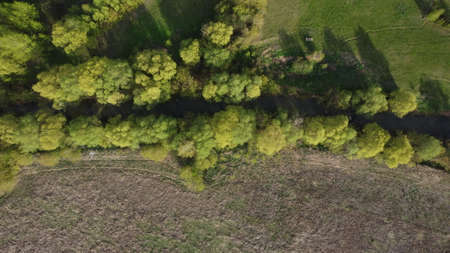Aerial view to spring landscape with green fields, bright trees and blue sky.の写真素材