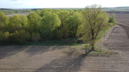 Plowed field in spring time with blue sky.の写真素材