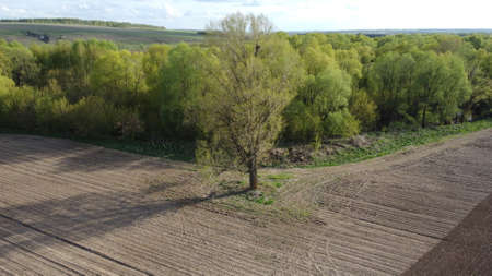 Plowed field in spring time with blue sky.の写真素材