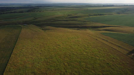 Aerial view of summer fields being, farmland and country landscapeの写真素材