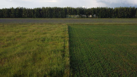 Agricultural landscape, birds-eye view of the forest beltの写真素材