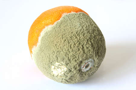 rottenの写真素材