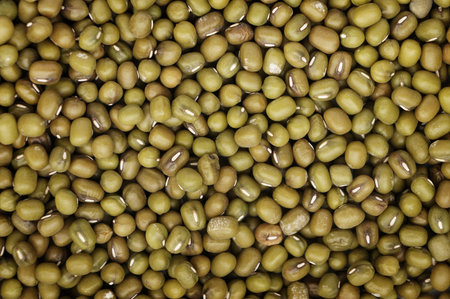 Vigna radiata, or mung beans, are used in a lot Asian cuisines. 