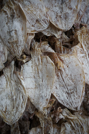 Dried cuttlefish for sale in a Bangkok Market.