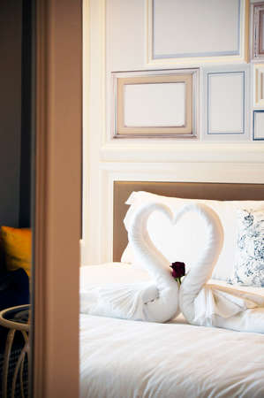 Turn down service with carefully folded swan with white towel with a red rose.の写真素材