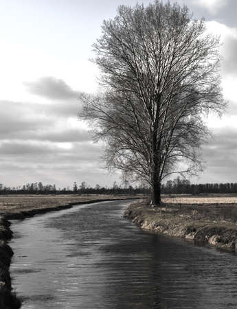 Lovely view of the river, trees, forest and fields on the background of clouds and skyの写真素材