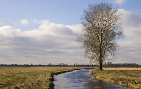 Lovely view of the river, trees, forest and fields on the background of clouds and skyの写真素材
