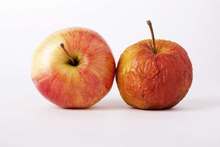 Two apples, young and old as a metaphor for aging  On a white background の写真素材