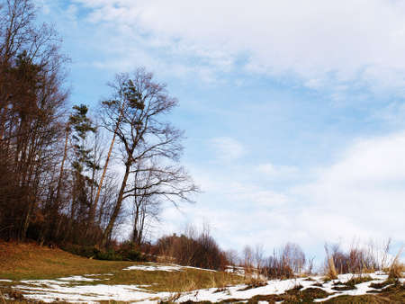 Beautiful winter landscape の写真素材