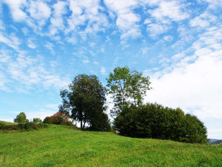 Idyllic spring landscapeの写真素材