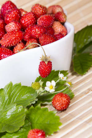 Wild strawberries in a small bowl, surrounded by leaves on the wooden padの写真素材