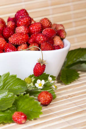 Wild strawberries in a small bowl, surrounded by leaves on the wooden padの写真素材
