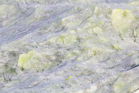 Plastic mulch backgroundの写真素材