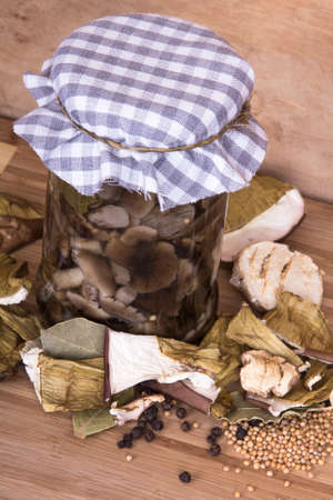 dried and marinated mushroomsの写真素材