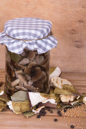 dried and marinated mushroomsの写真素材