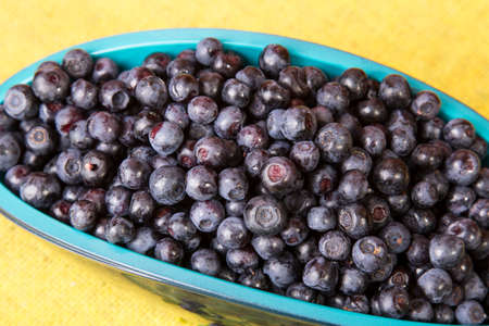 Blueberries in bowlの写真素材