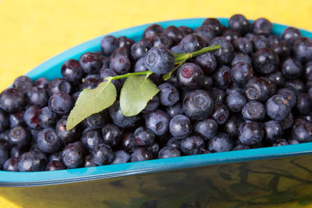 Blueberries in bowlの写真素材