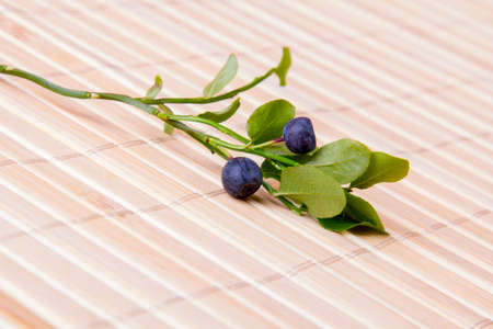 blueberry twig on a tableの写真素材