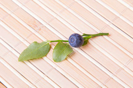 blueberry twig on a tableの写真素材
