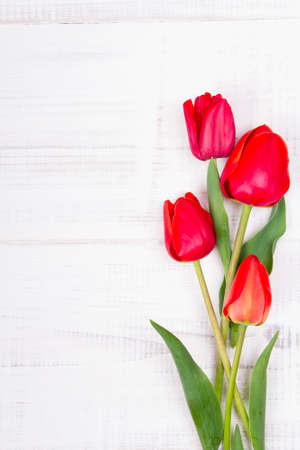 red tulips on white wooden backgroundの写真素材