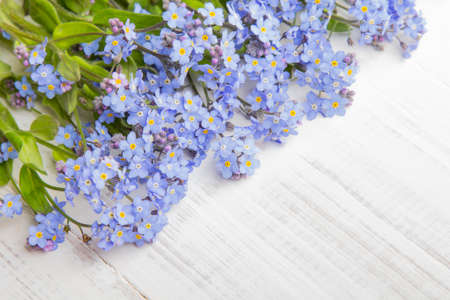 blue flowers frame on white wooden backgroundの写真素材