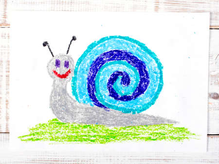 colorful drawing: snail with a shellの写真素材