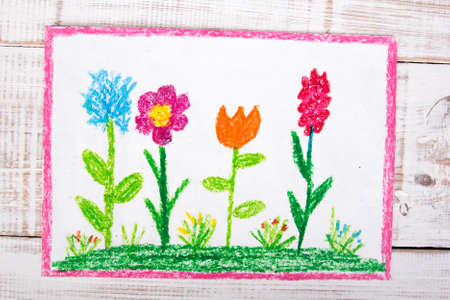 colorful drawing: beautiful flowersの写真素材