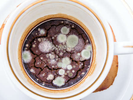 mold in the unwashed cup after cup of coffee on white backgroundの写真素材