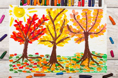 Photo of  colorful drawing: Autumn landscape, trees with yellow, orange and red leavesの写真素材
