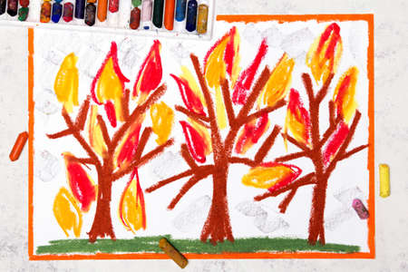 Photo of colorful drawing: burning trees in fire flames. Wildfire forest.の写真素材