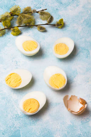 Easter background with hard boiled egg and catkin twigs, copy spaceの写真素材