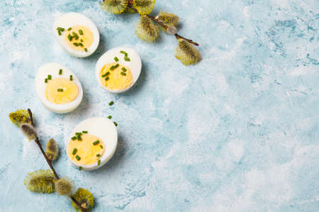 Easter background with hard boiled egg and catkin twigs, copy spaceの写真素材