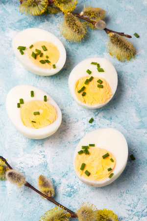 Easter background with hard boiled egg and catkin twigs, copy space
