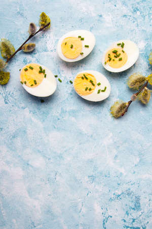 Easter background with hard boiled egg and catkin twigs, copy spaceの写真素材