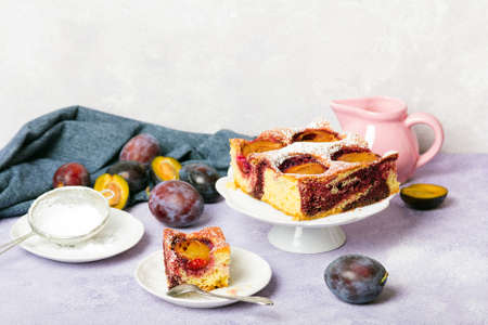 Tasty plum cake with pieces of fruit and powdered sugar on a light backgroundの写真素材