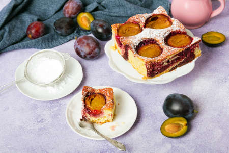 Tasty plum cake with pieces of fruit and powdered sugar on a light backgroundの写真素材