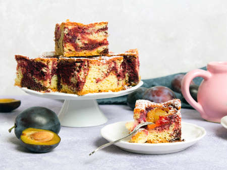Tasty plum cake with pieces of fruit and powdered sugar on a light backgroundの写真素材