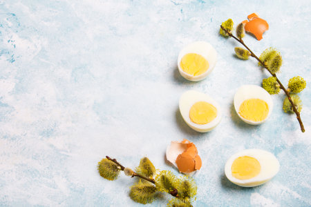 Easter background with hard boiled egg and catkin twigs, copy spaceの写真素材