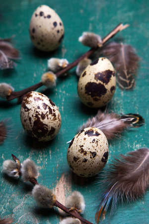 Quail eggs, feathers and catkins on green rustic wooden backgroundの写真素材