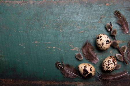 Easter background with quail eggs, feathers and catkins on green rustic wooden background with copy space for your text. Easter card.の写真素材