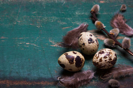 Easter background with quail eggs, feathers and catkins on green rustic wooden background with copy space for your text. Easter card.の写真素材