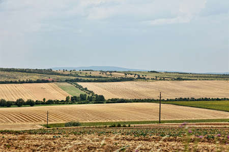 Landscape of cultivated fields in Hungaryの写真素材