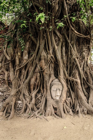 The head of the sandstone buddha imageの写真素材