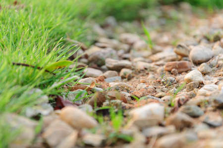 A beautiful natural park in closeup viewの写真素材