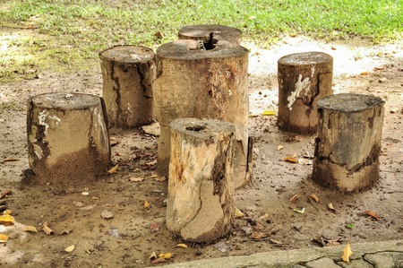 Log wood chairsの写真素材