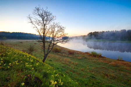 Spring landscape with the river in the early foggy morning. Volga river in the Tver region. 