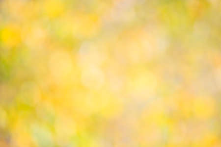 abstract autumn background bokeh blurred summerの写真素材