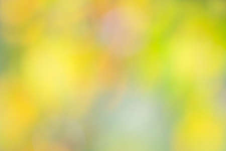 abstract autumn background bokehの写真素材