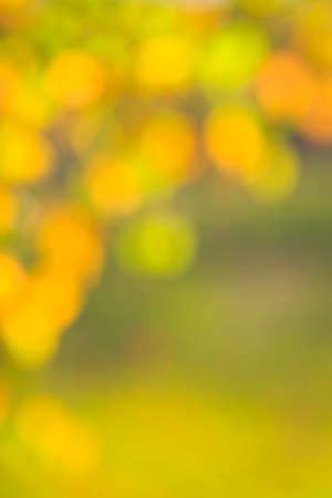 abstract autumn background bokehの写真素材